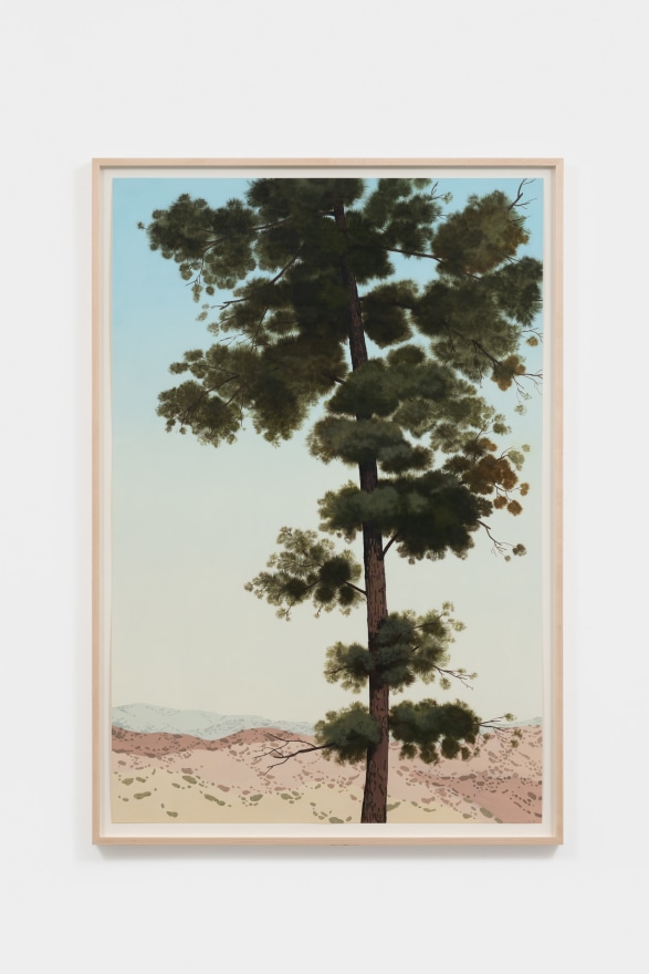 Jake Longstreth Untitled (Big Pine 4), 2022 Oil on paper 44 1/2 x 30 1/2 x 1 1/2 in (framed) 113 x 77.5 x 3.8 cm (framed) 42 x 28 in (unframed) 106.7 x 71.1 cm (unframed) (JLO22.004)