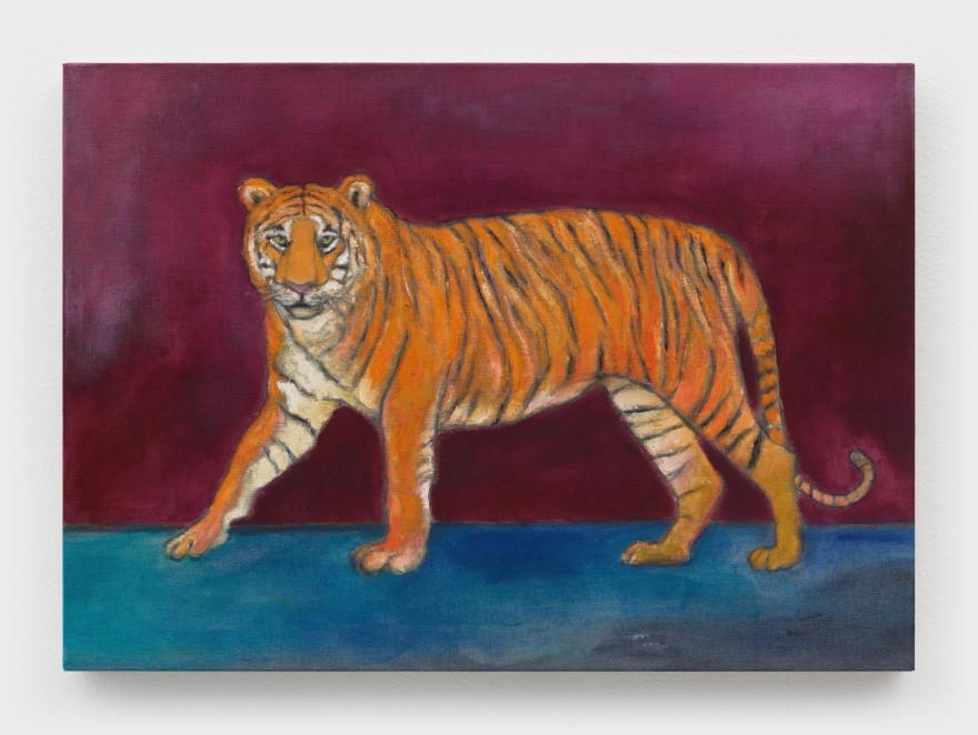Kasper Sonne Small Tiger (study), 2022 Oil on linen 19 3/4 x 27 1/2 in 50 x 70 cm (KSO23.001)