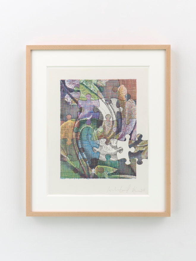 Asher Liftin Orchid (puzzle), 2024 Colored pencil on paper 18 1/4 x 15 1/4 in (framed) 46.6 x 38.7 cm (framed) (ALI24.019)