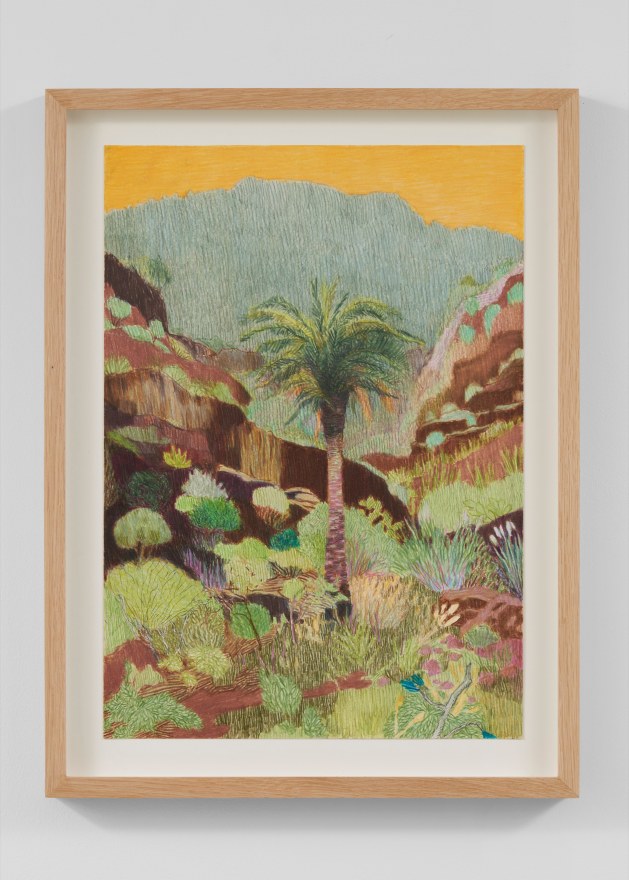 Per Adolfsen  Palm tree in a canyon, 2023  Colored pencil and graphite on Hahnem&uuml;hle paper  19 3/4 x 14 3/4 in (framed)  50 x 37.5 cm  (PAD24.013)