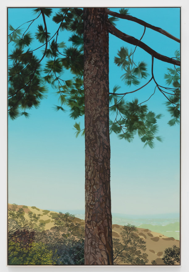 Jake Longstreth, In Glendale (Pine 3), 2020. Oil on muslin, 60 x 40 in, 152.4 x 101.6 cm (JLO20.017)