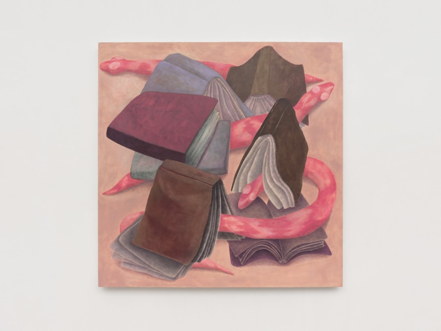 Ginny Casey Pink Snake and Books, 2022