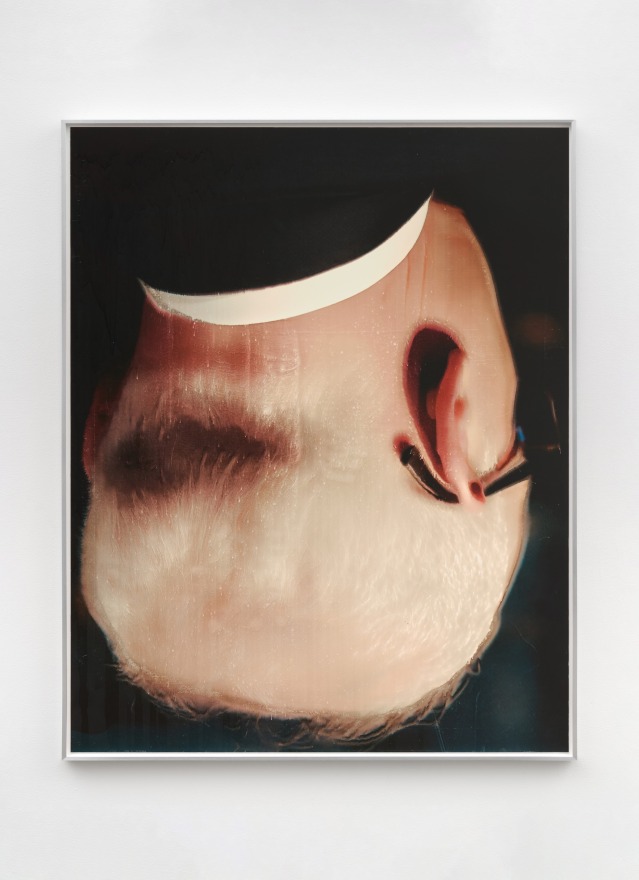 David Moy Reiner, 2025 Ultrachrome inkjet on panel with varnish 50 x 40 in (unframed) 127 x 101.6 cm (unframed) (DMO25.023)