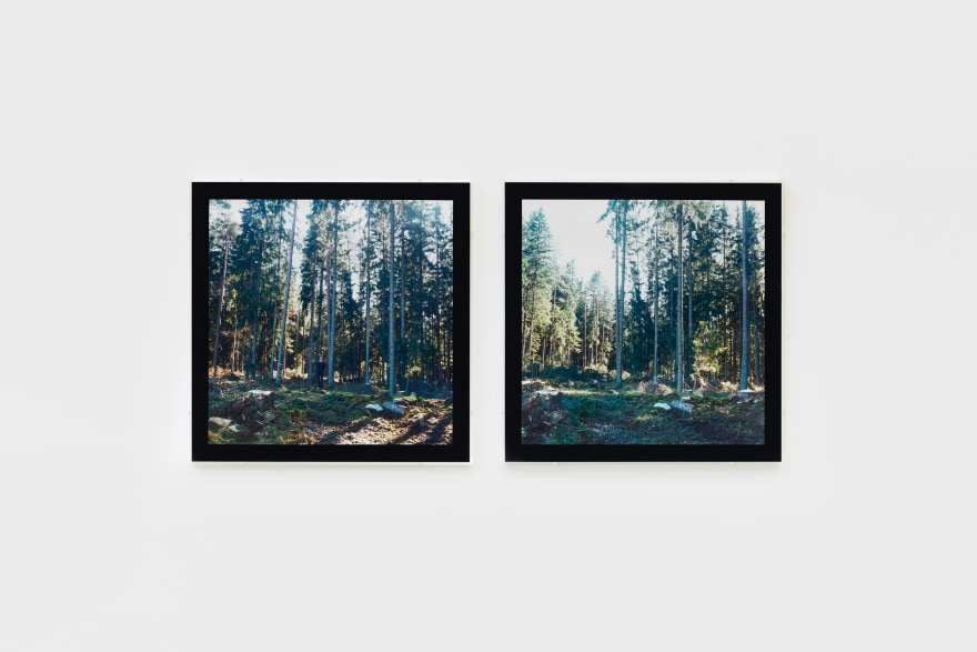 Bas Jan Ader, Untitled (Swedish fall), 1971, 2003. Two Color C-type prints (framed), 16 x 16 in, each (image), 40.6 x 40.6 cm each (image), Edition 1 of 3 (BJA19.001)
