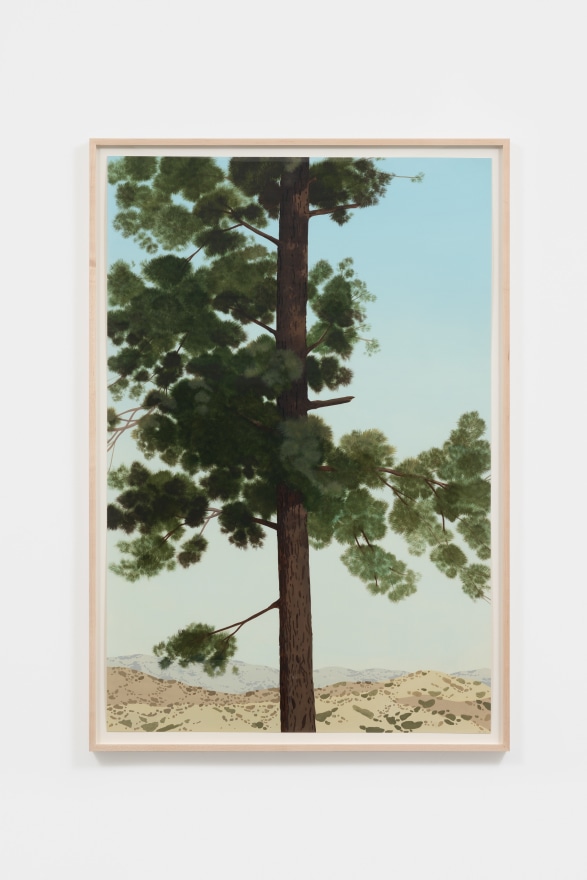 Jake Longstreth Untitled (Big Pine 2), 2022 Oil on paper 44 1/2 x 30 1/2 x 1 1/2 in (framed) 113 x 77.5 x 3.8 cm (framed) 42 x 28 in (unframed) 106.7 x 71.1 cm (unframed) (JLO22.003)