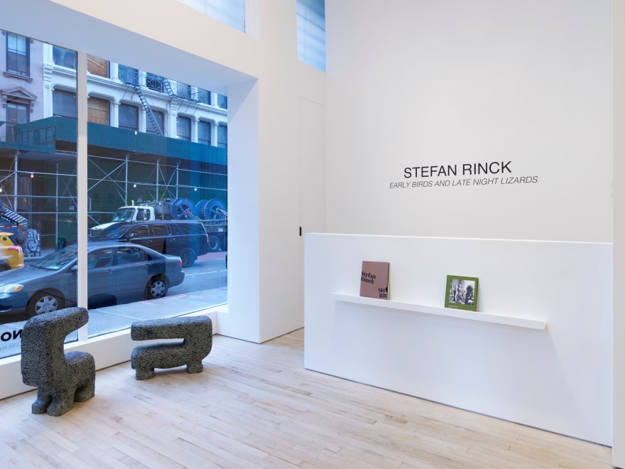 Installation View of STEFAN RINCK, Early Birds and Late Night Lizards | NEW YORK | TRIBECA (November 4 - December 16, 2023)