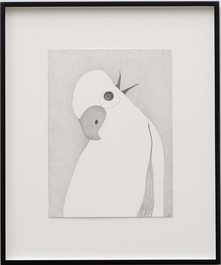 Nicola Tyson Hearing the Call, 2022 Graphite on paper 19 x 15 13/16 x 1 3/8 in (framed) 48.26 x 40.15 x 3.47 cm (framed) (NTY23.050)