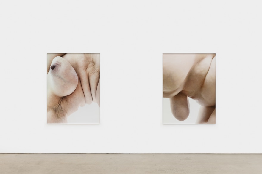 Installation View of Polly Borland, Nudie, Nino Mier Gallery, Los Angeles