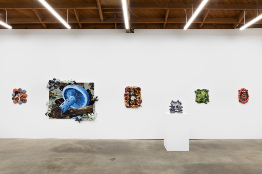 Installation View of Gest (December 15, 2020&ndash;January 31, 2021) Nino Mier Gallery, Los Angeles, CA 7