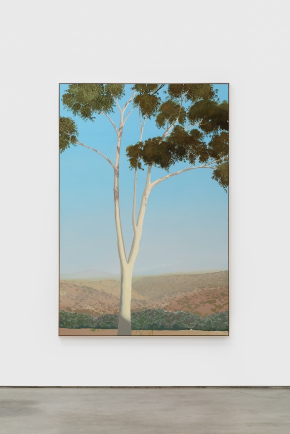 Jake Longstreth, In Glendale (Eucalyptus), 2019