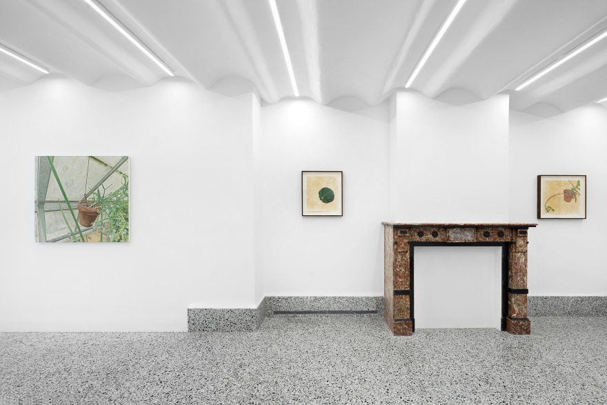 Installation view of Michael Cline, Above and Below, (September 3 - October 1, 2022). Nino Mier Gallery Brussels, Annex.