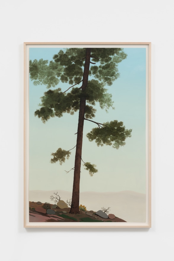 Jake Longstreth Untitled (Big Pine 1), 2022 Oil on paper 44 1/2 x 30 1/2 x 1 1/2 in (framed) 113 x 77.5 x 3.8 cm (framed) 42 x 28 in (unframed) 106.7 x 71.1 cm (unframed) (JLO22.002)