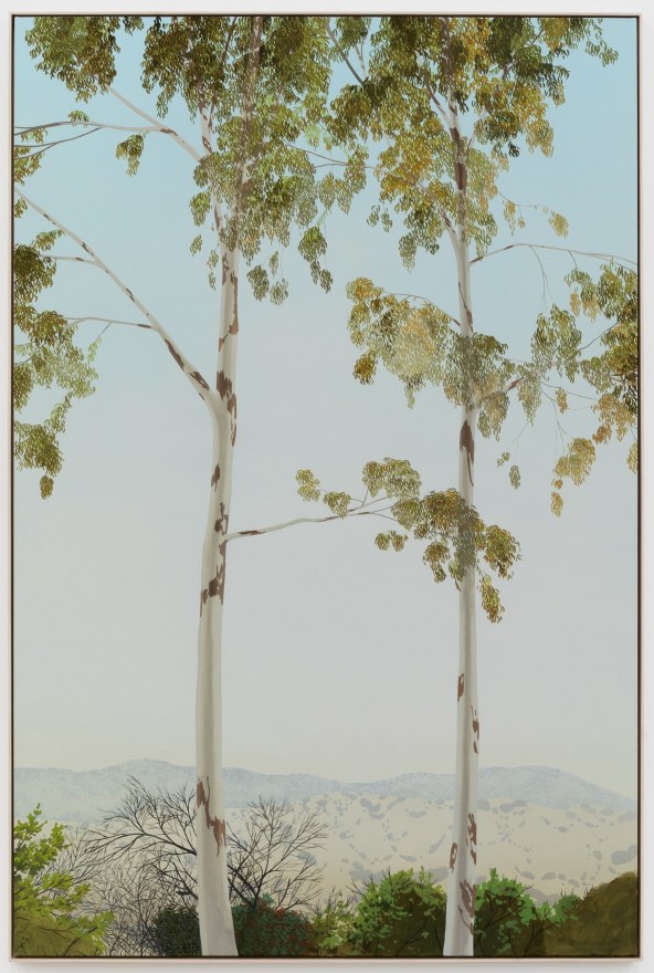 Jake Longstreth, In Glendale (Eucalyptus 4), 2020. Oil on muslin, 85 x 57.25 in, 216 x 145.5 cm (framed). (JLO20.005)
