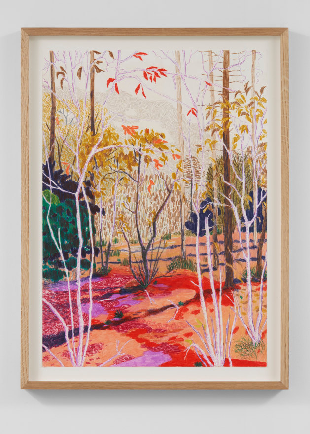 Per Adolfsen  Autumn, 2023  Colored pencil on Hahnem&uuml;hle paper  26 3/8 x 19 3/4 in (framed)  67 x 50 cm  (PAD24.028)