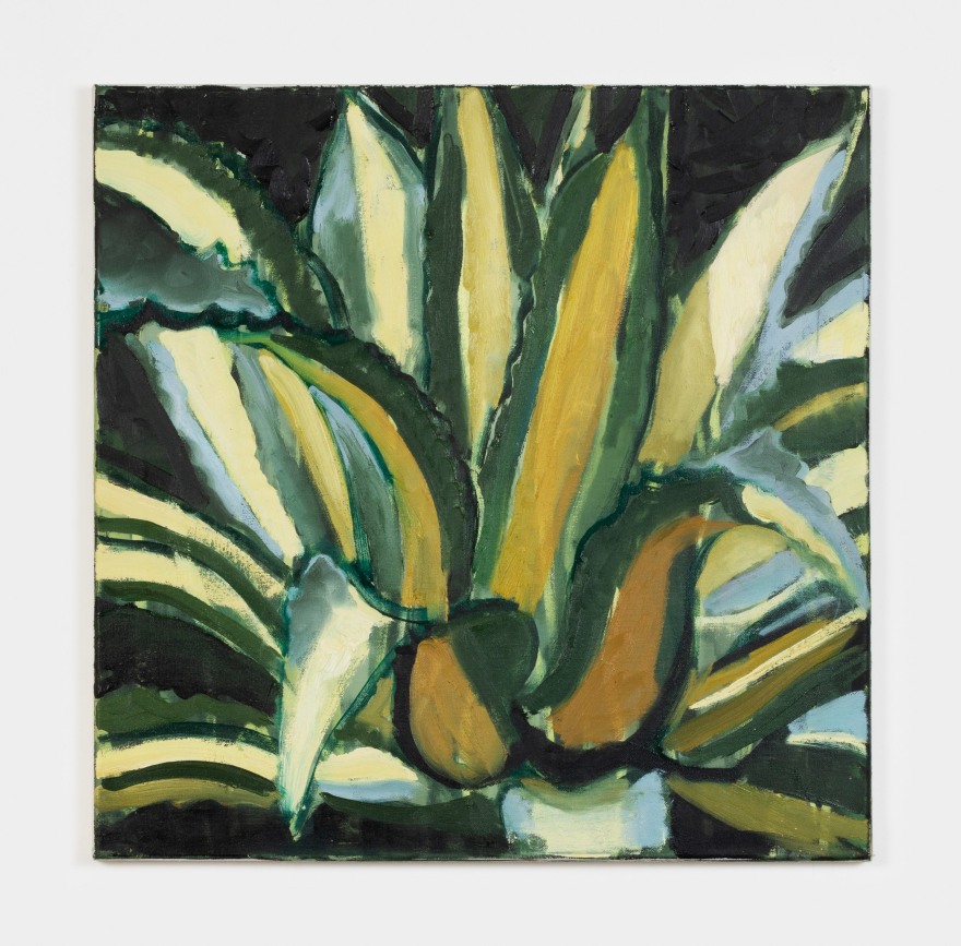 Jonathan Wateridge Plant II, 2016 Oil on canvas 19 x 19 in 48.3 x 48.3 cm (JWA21.064)