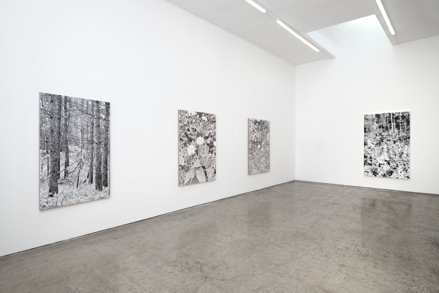 Installation View of JAMES CHRONISTER All the faces we know, all the / places to go / Shall we stop to say hellos?, LOS ANGELES GALLERY FOUR July 15 - August 26, 2023