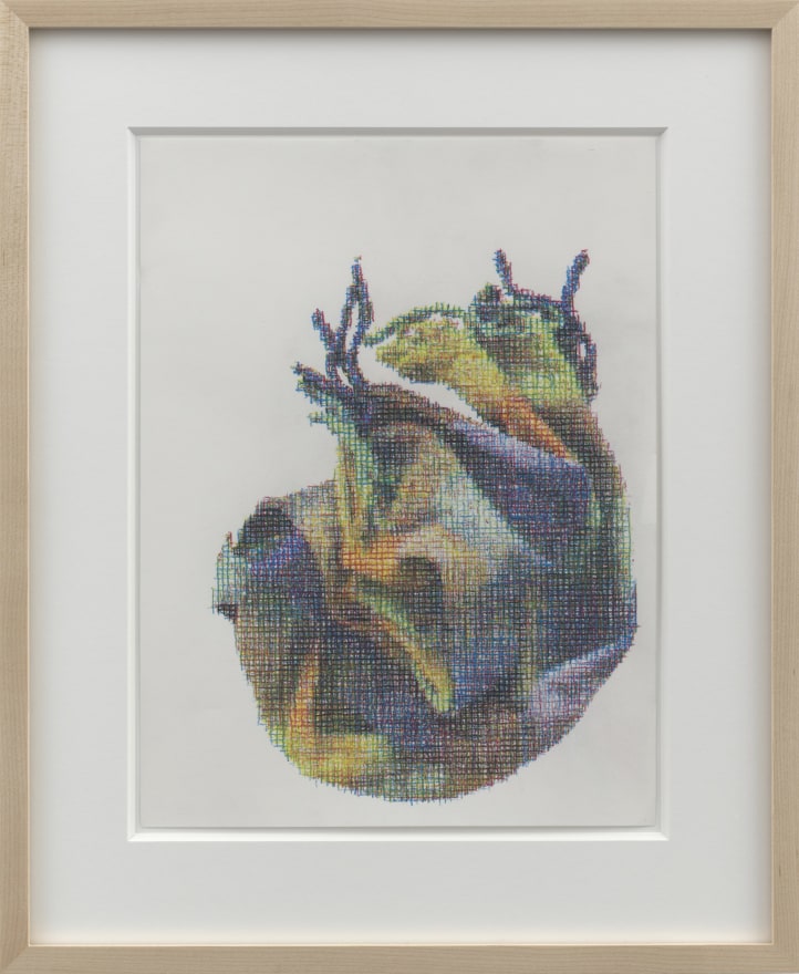 Asher Liftin Scarf III, 2023 Colored pencil on paper 14 x 17 in (framed) 35.6 x 43.2 cm (framed) (ALI23.013)