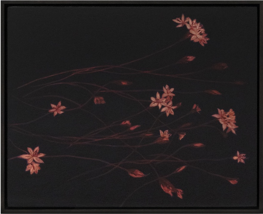 Alexandria Tarver nights, 87, 2025 Signed, titled, dated on verso Oil on panel 16 3/8 x 20 3/8 in (framed) 41.6 x 51.8 cm (framed) (ATA25.030)