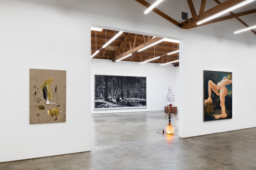 Some Trees, Organized by Christian Malycha, 2019, Nino Mier Gallery, Los Angeles, Installation view Eastern Side of Main Room looking into Second