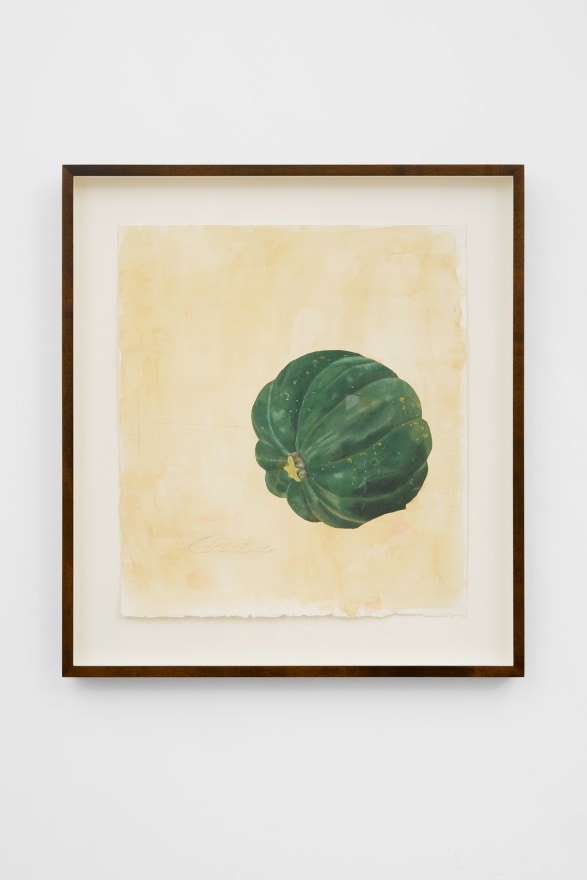 Michael Cline Acorn Squash, 2022 Watercolor, pencil, and oil on paper 20 1/2 x 18 1/2 x 1 3/4 in (framed) 52.2 x 47 x 4.5 cm (framed) (MCL22.012)