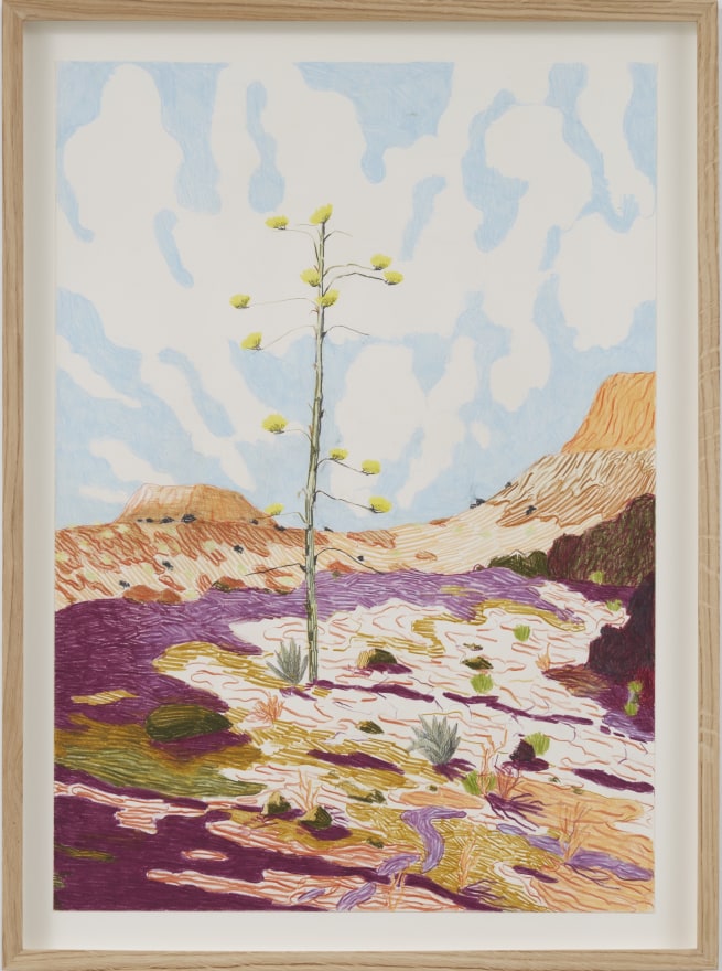 Per Adolfsen  Piton Canario in front of a landscape, 2023  Colored pencil on Hahnem&uuml;hle paper  26 3/8 x 19 3/4 in (framed)   67 x 50 cm  (PAD24.002)