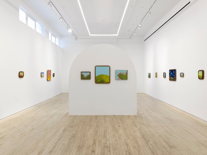 Installation view of Karel Dicker, tamed flowers, Nino Mier Gallery, Tribeca, June 27 &ndash; August 8, 2025