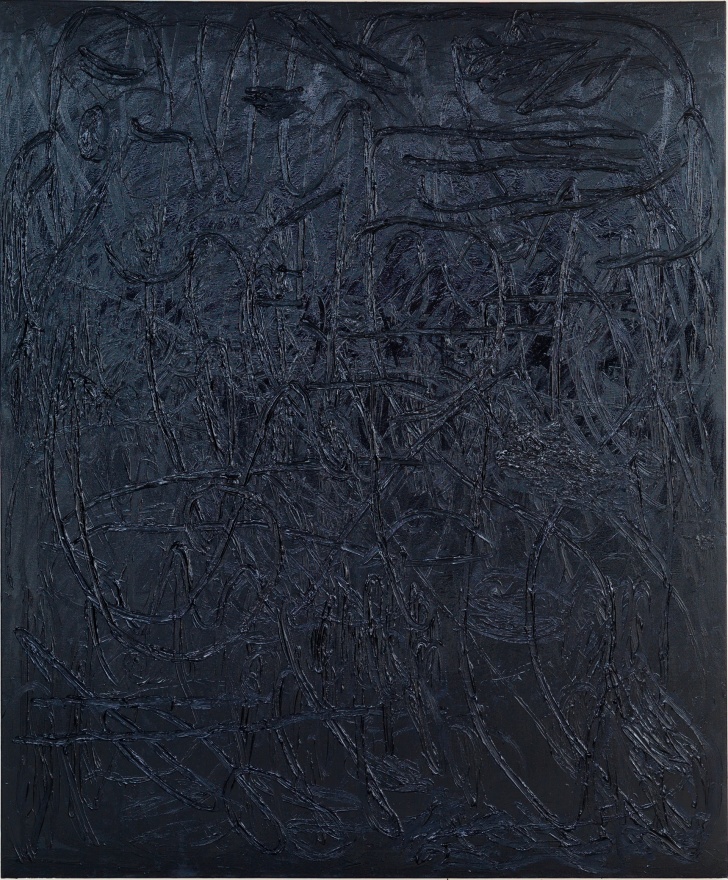 Jana Schr&ouml;der ​​​​​​​Spontacts CH L5, 2014 Oil on canvas&nbsp; 90.6 x 74.8 in&nbsp; 230 x 190 cm  (JSR14.001)