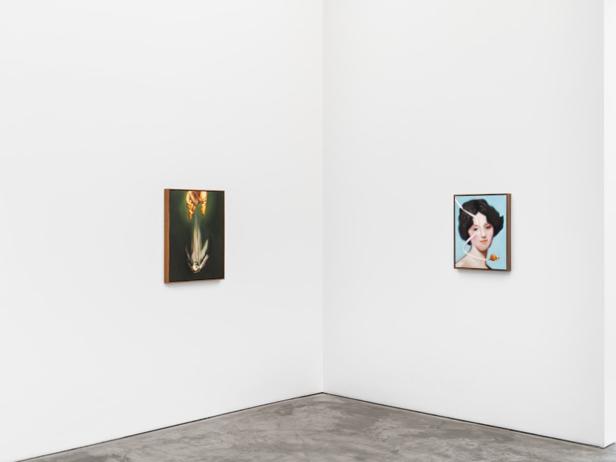 Installation view of&nbsp;THOMAS LEROOY The Gift April 12 - May 11, 2024 LOS ANGELES | GALLERY TWO