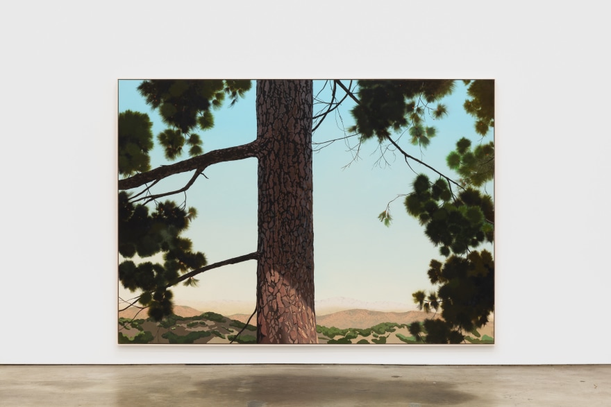 Jake Longstreth Sand Canyon (Pine 3), 2021 oil on muslin 84 x 120 in 213.4 x 304.8 cm 85 x 121 x 2.5 in, framed 215.9 x 307.3 x 31.8 cm, framed (JLO20.062)