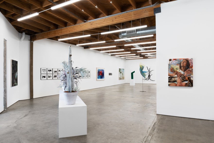 Some Trees, Organized by Christian Malycha, 2019, Nino Mier Gallery, Los Angeles, Installation view from Right Window