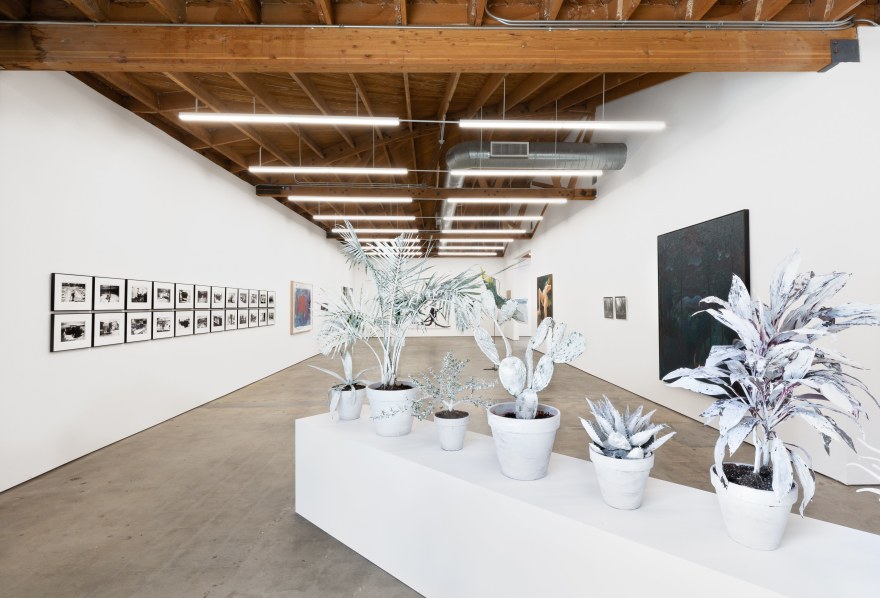 Some Trees, Organized by Christian Malycha, 2019, Nino Mier Gallery, Los Angeles, Installation view from Entrance Peering left