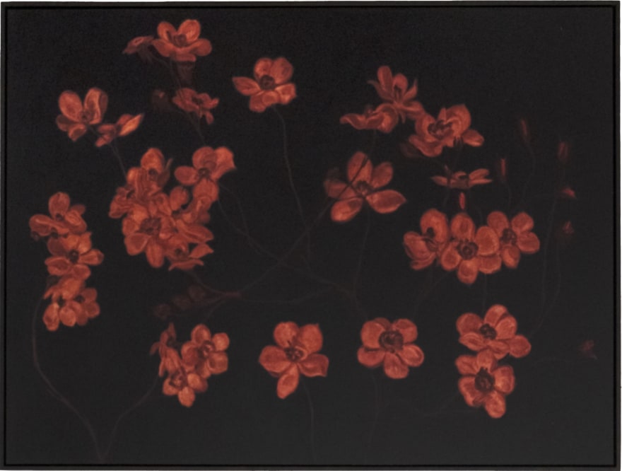 Alexandria Tarver nights, 89, 2025 Signed, titled, and dated on verso Oil on panel 36 3/8 x 48 3/8 in (framed) 92.4 x 122.9 cm (framed) (ATA25.028)