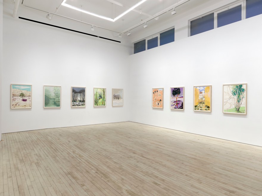 Installation view of Per Adolfsen,&nbsp;Walk with Me, Nino Mier Gallery, Tribeca, January 10 &ndash; February 8, 2025