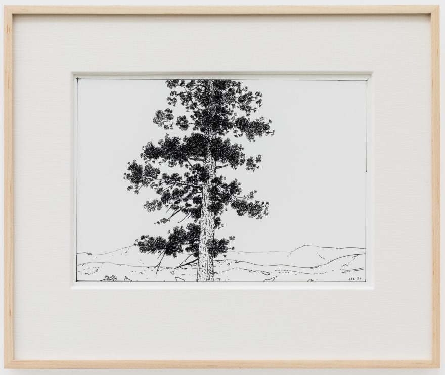 Jake Longstreth, Untitled (Oak), 2020. ink on paper, 12 x 14 in (12 &frac12; x 15 in. framed), 30.5 x 35.6 cm (31.75 x 38 cm, framed) (JLO20.052)