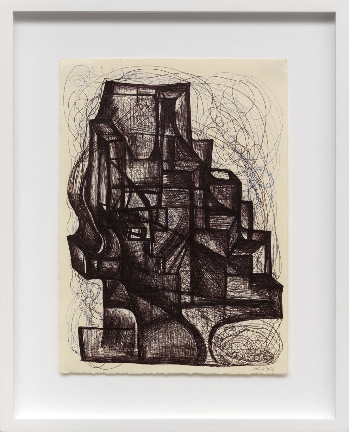 Joanne Greenbaum Untitled, 2007 Ball-point on paper 15 5/8 x 12 5/8 x 1 5/8 in (framed) 39.7 x 32.1 x 4.1 cm (framed) (JGR22.007)