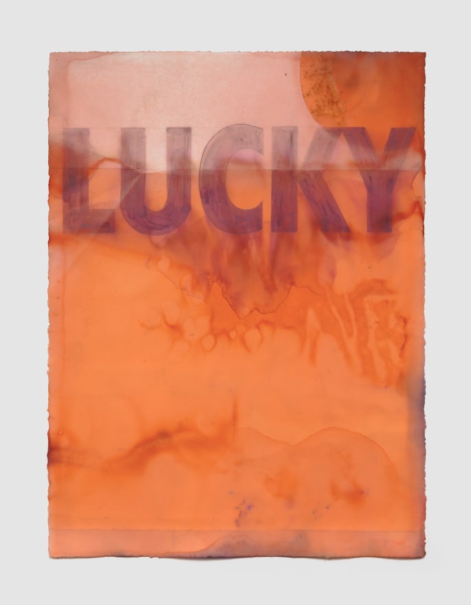 Nicolas Shake LUCKY, 2023 Dye on paper, pencil, acrylic medium, weathered 33 1/8 x 25 5/8 in (framed)  84 x 65 cm (framed) (NSH23.016)