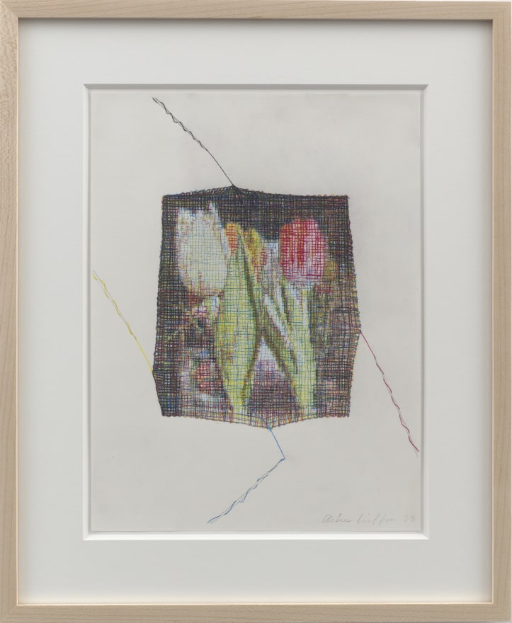 Asher Liftin Tulips, 2023 Colored pencil on paper 17 x 14 in (framed) 43.2 x 35.6 cm (framed) (ALI23.019)