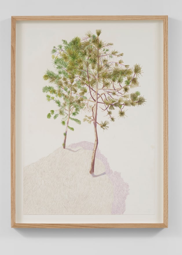 Per Adolfsen  Two pines on a mountain top, 2023  Colored pencil on Hahnem&uuml;hle paper  26 3/8 x 19 3/4 in (framed)  67 x 50 cm  (PAD24.007)