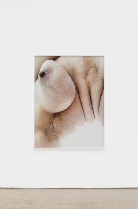 Polly Borland Nudie (12), 2021 Archival pigment print 53 1/4 x 40 in (image) 135.3 x 101.6 cm (image)  53 1/2 x 40 1/4 x 1 1/2 in (framed) 135.9 x 102.2 x 3.8 cm (framed) Edition of 3 plus 2 artist's proofs (#1/3) (PBO21.012)