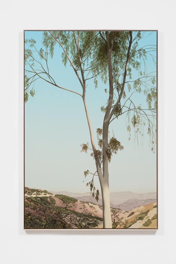 Jake Longstreth Untitled (Eucalyptus), 2022 Oil on muslin 60 x 40 in 152.4 x 101.6 cm (JLO22.015)