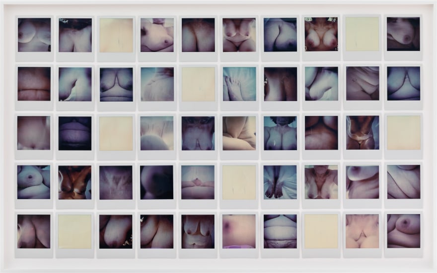 Polly Borland Untitled, 2021 50 Polaroids, framed 24 3/4 x 39 3/4 in (framed) 62.9 x 101 cm (framed) (PBO21.001)
