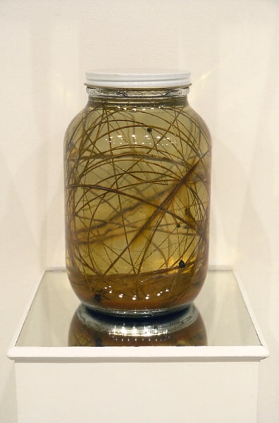 Liz Larner