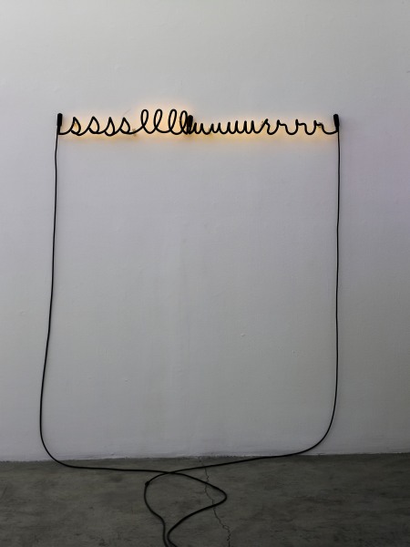 Glenn Ligon