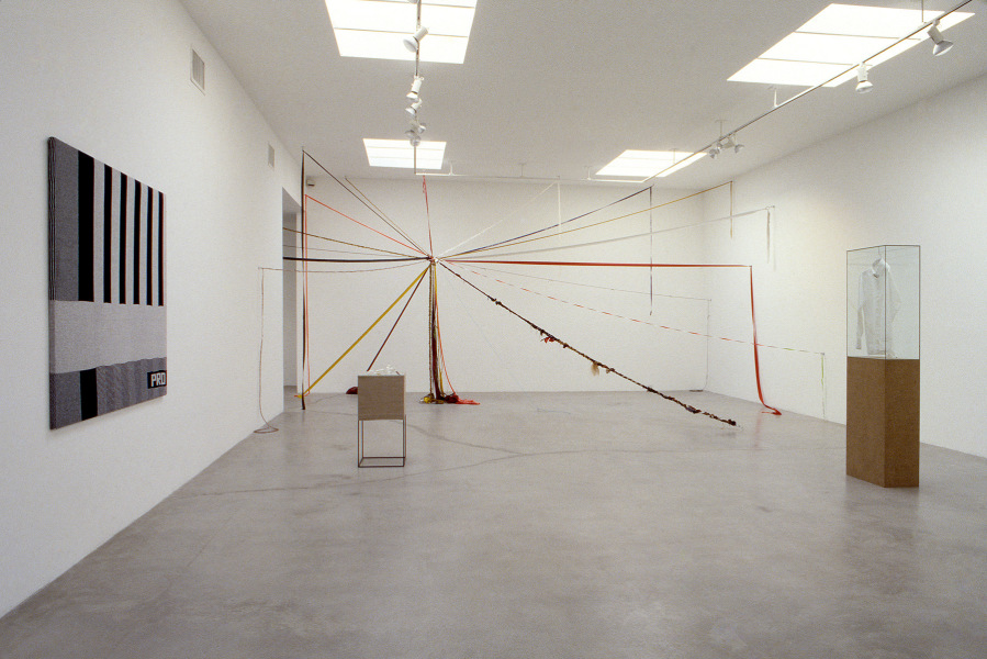 Liz Larner, Rosemarie Trockel, Meg Webster