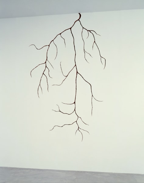 Anish Kapoor