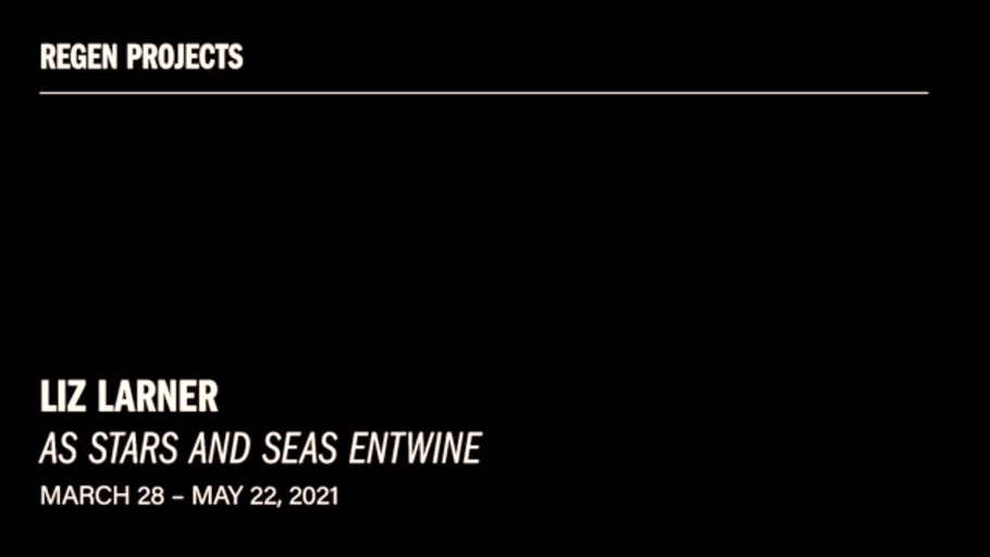 Liz Larner - As Stars and seas Entwine walkthrough