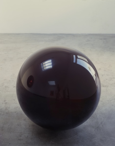 Anish Kapoor