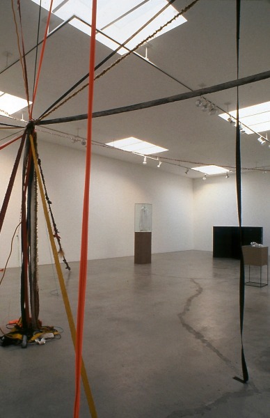 Liz Larner, Rosemarie Trockel, Meg Webster