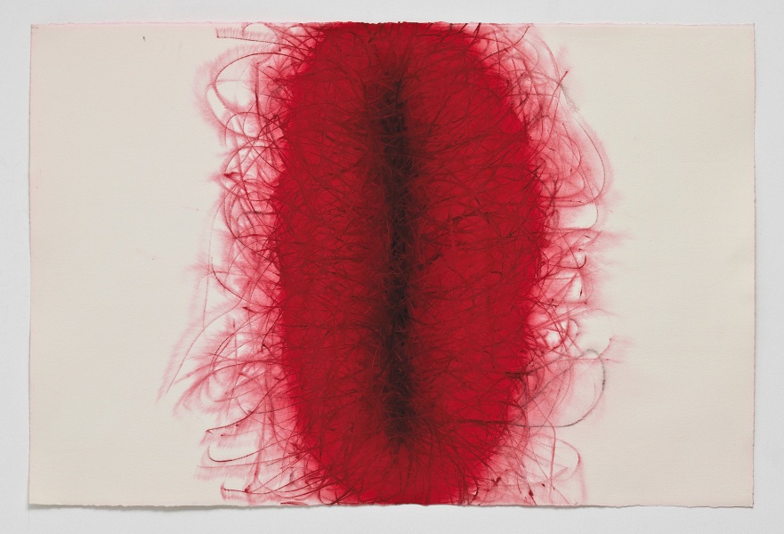 Anish Kapoor