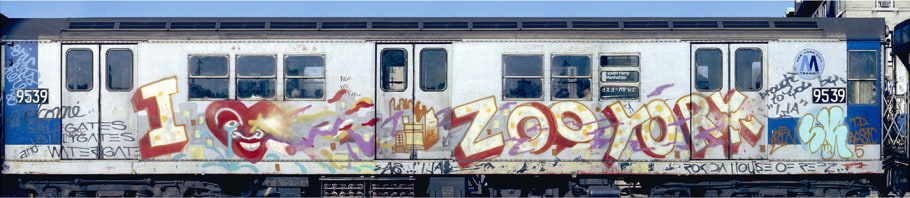 Henry Chalfant- I Love Zoo York By Ali